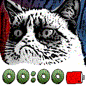 Grumpy_cat Amazfit BIP watchface