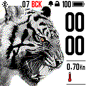 Tiger_roar Amazfit BIP watchface
